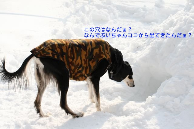 f0039538_2075184.jpg