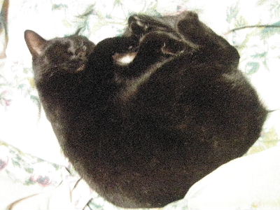 a0054240_2134375.jpg