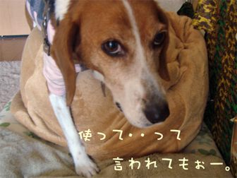 c0086746_14104464.jpg