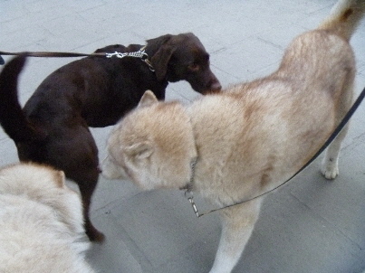 e0121548_201107.jpg