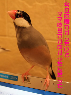 b0158061_21571664.jpg