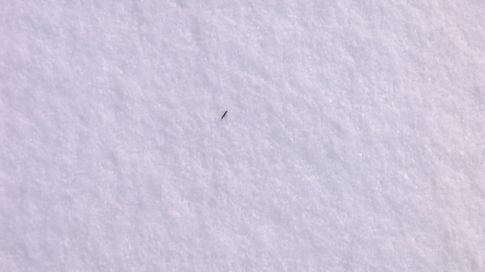 b0208961_23214028.jpg