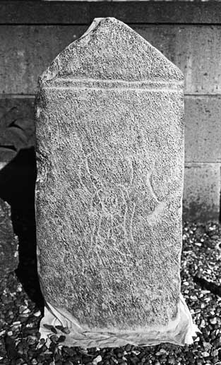 e0018762_113157100.jpg