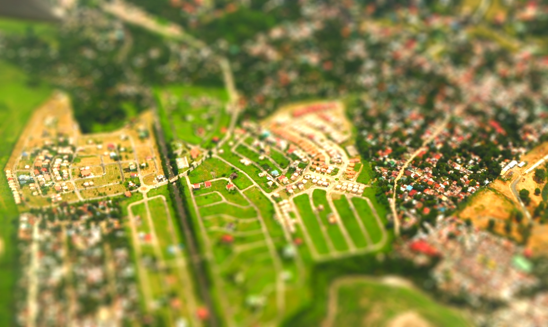 d0171463_155399.jpg