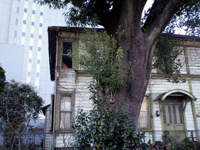 c0050264_1253066.jpg