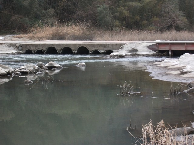 a0091666_21572079.jpg