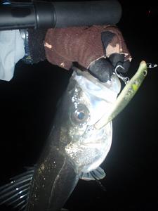 f0069890_1265140.jpg