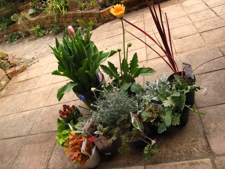 f0178897_1883366.jpg