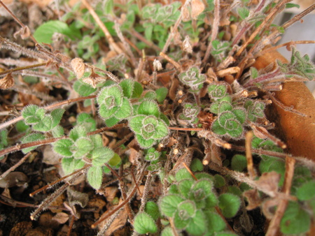 c0227800_9583272.jpg