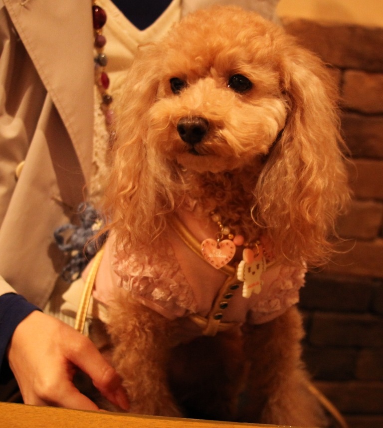 c0041207_13424646.jpg
