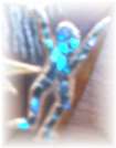 e0063208_12492392.jpg