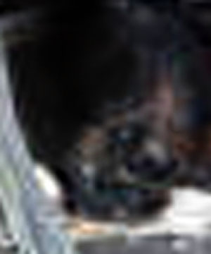 e0103408_18512659.jpg