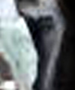 e0103408_1851457.jpg