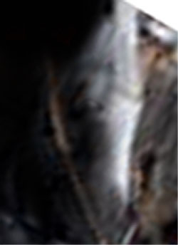 e0103408_1852871.jpg