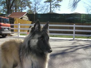 f0227709_10515412.jpg