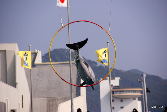 c0037611_2318962.jpg