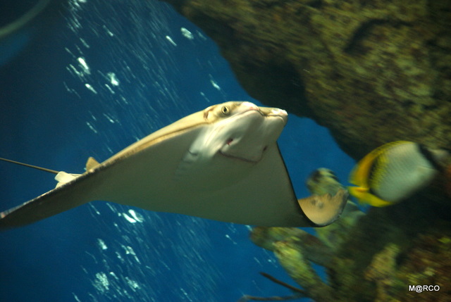 c0037611_232938100.jpg