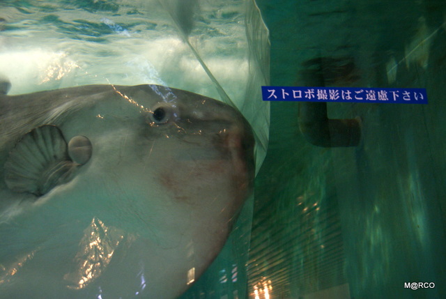 c0037611_23301283.jpg