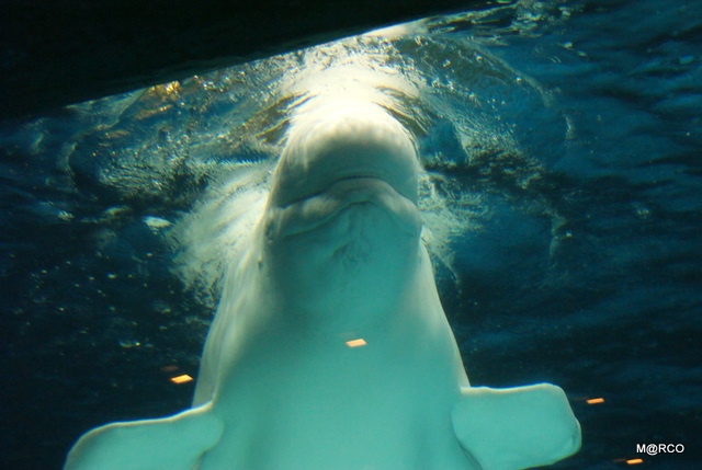 c0037611_2392092.jpg