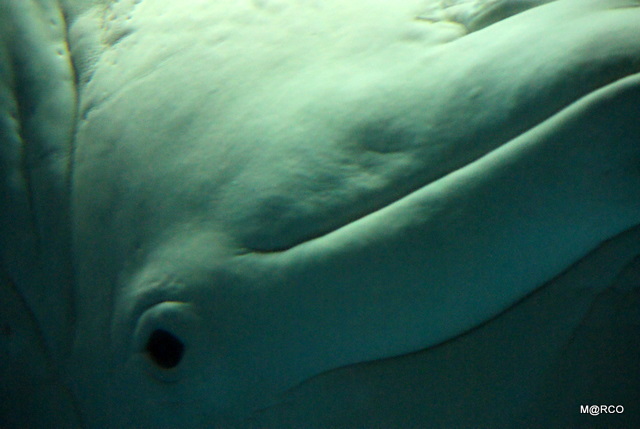 c0037611_2393462.jpg