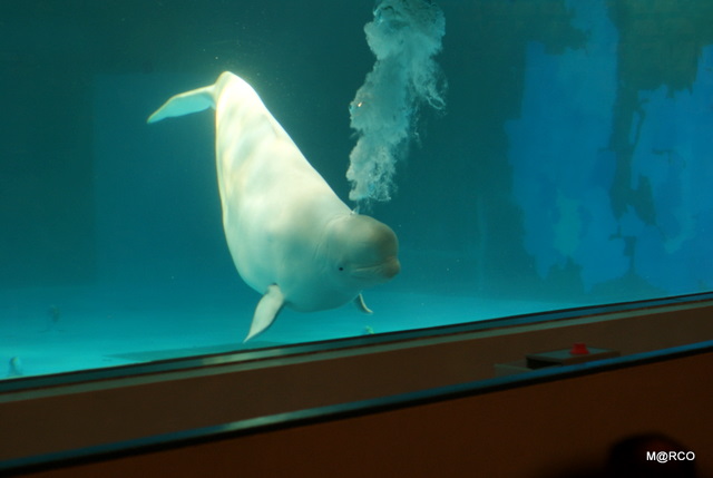 c0037611_239837.jpg