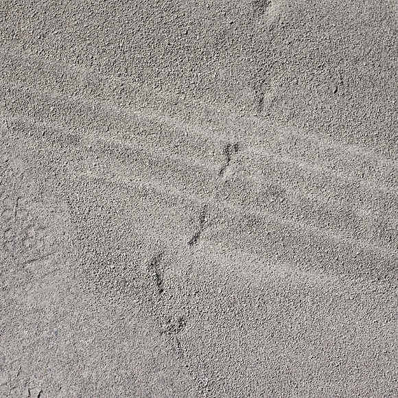 e0142611_22175028.jpg