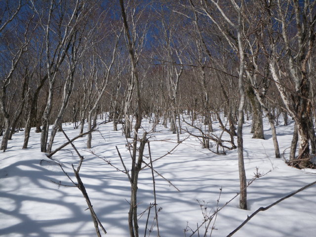 d0006512_1965522.jpg