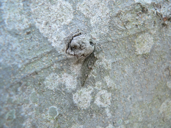 e0002314_20202991.jpg