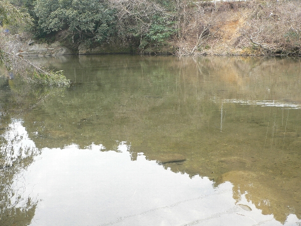 e0002314_2023390.jpg