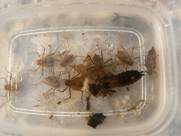 e0002314_2052898.jpg