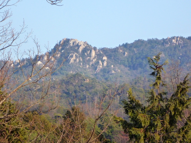d0170615_2222591.jpg