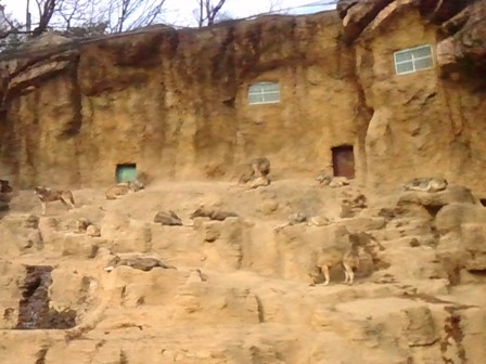 e0203415_2375916.jpg