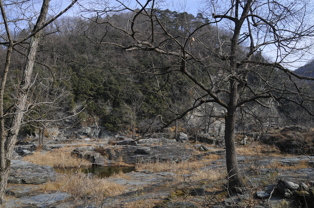 f0206417_2134579.jpg