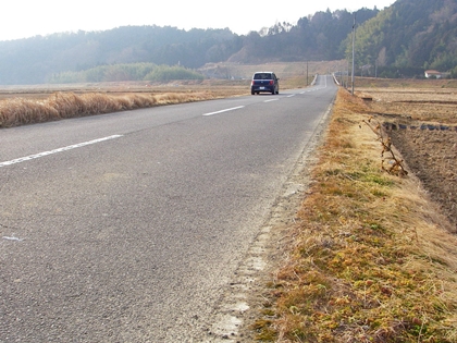 d0144618_1744852.jpg