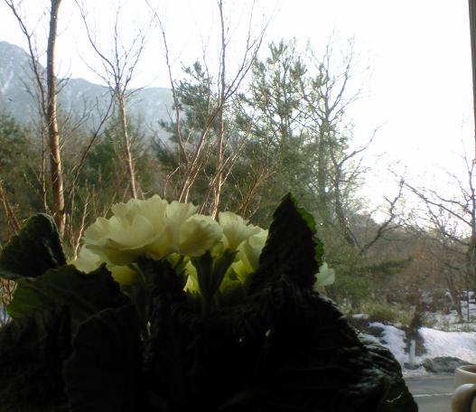 c0097620_22153052.jpg
