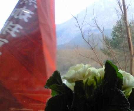 c0097620_22153891.jpg