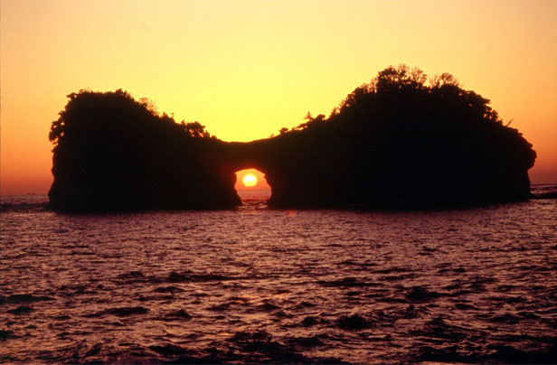 e0171420_2324186.jpg