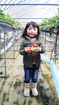f0198620_1733169.jpg