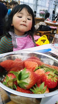 f0198620_1753443.jpg