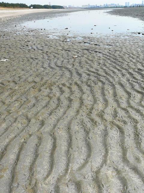 b0190921_2152265.jpg
