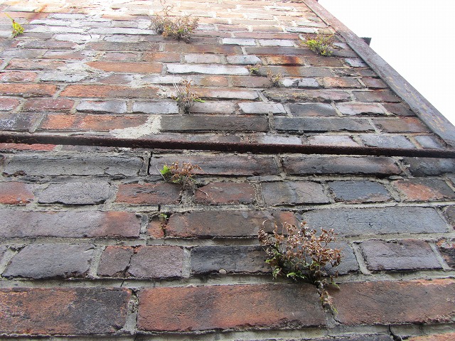 f0054429_235259.jpg