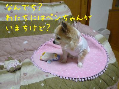 b0138430_11234951.jpg