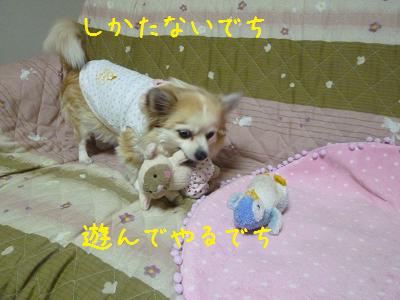 b0138430_11241088.jpg