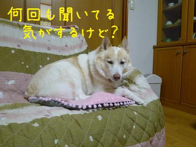 b0138430_18504177.jpg
