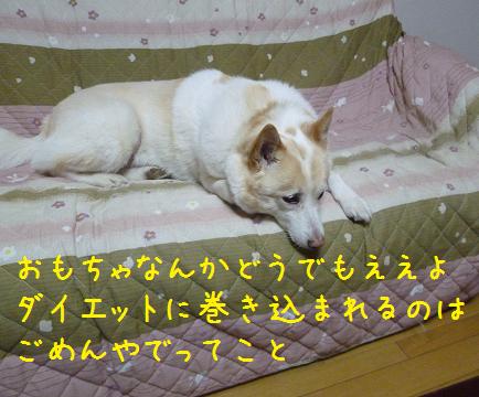 b0138430_18505691.jpg