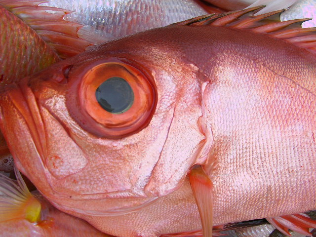 a0132631_18231547.jpg