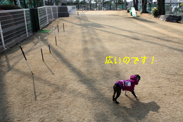 a0190132_0251247.jpg