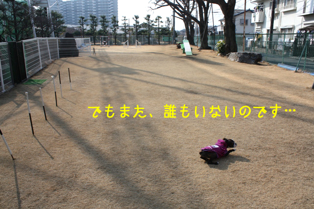 a0190132_0252235.jpg