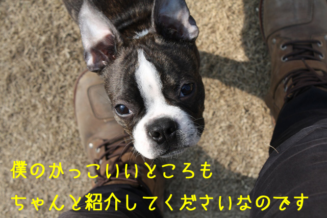 a0190132_029488.jpg