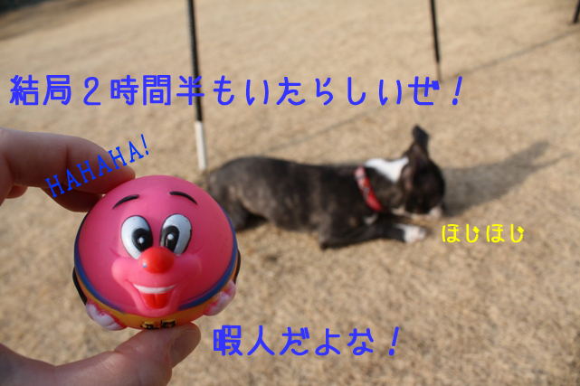 a0190132_0375185.jpg